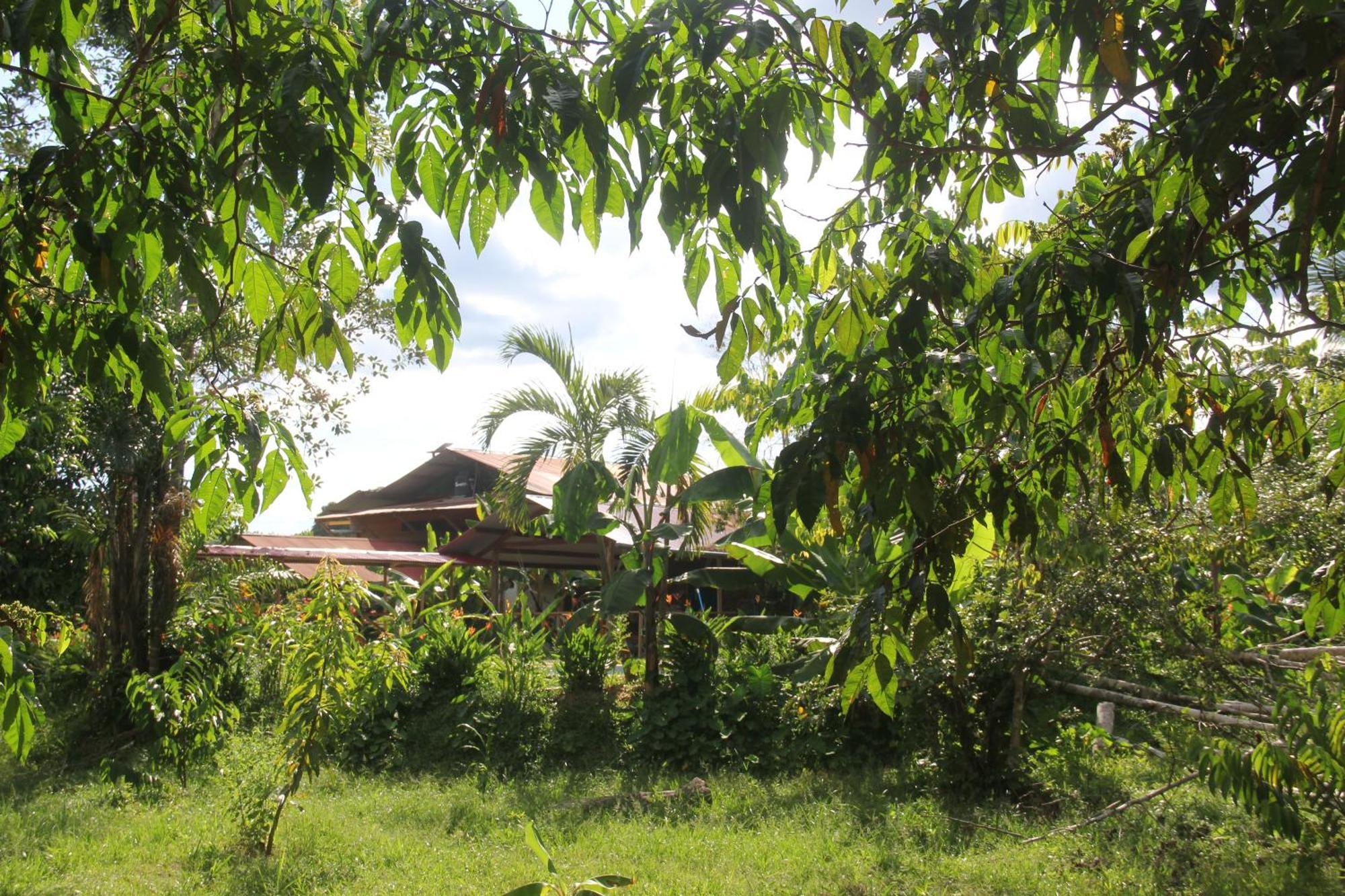 Purachata Ecolodge Iquitos Exterior photo