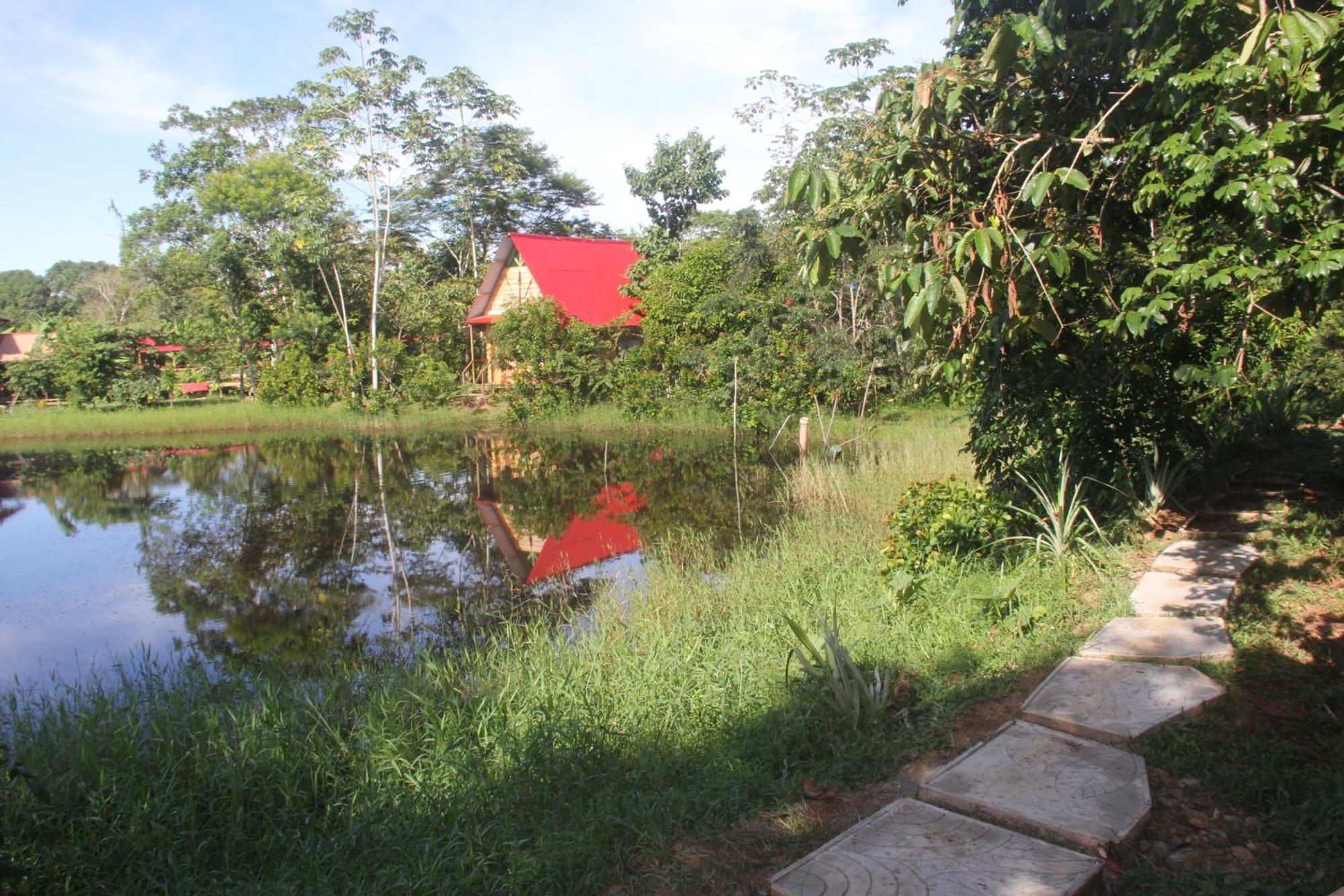 Purachata Ecolodge Iquitos Exterior photo