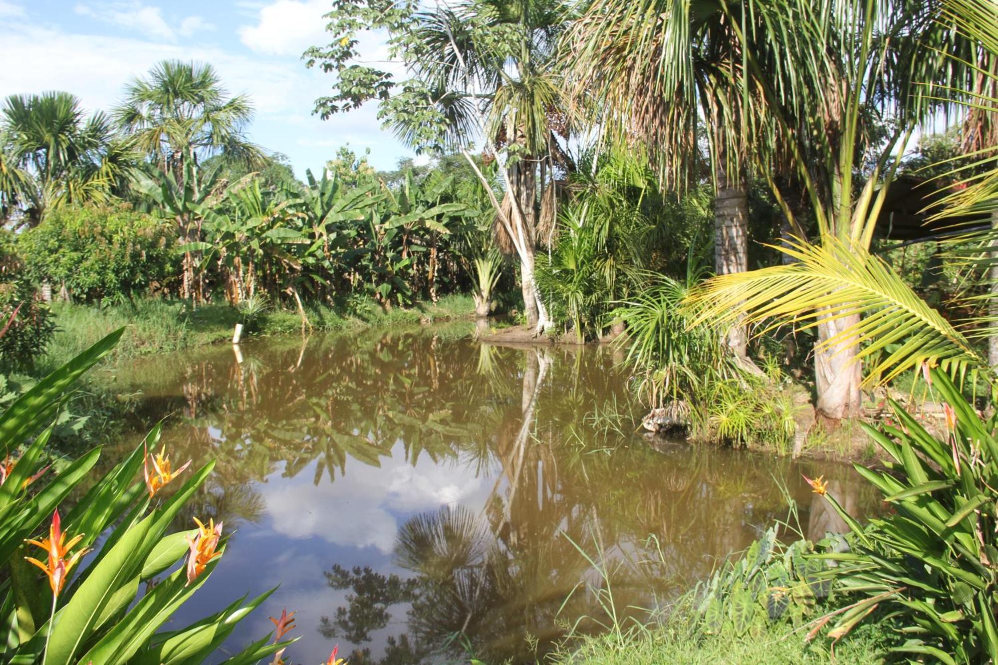Purachata Ecolodge Iquitos Exterior photo